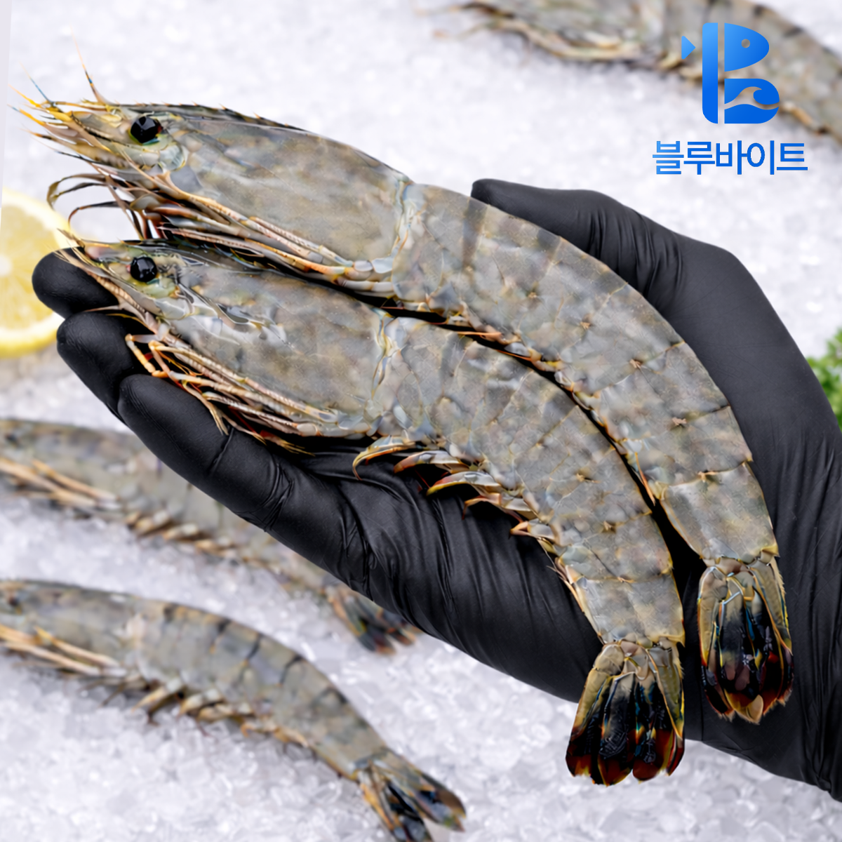 블랙타이거새우 500g 특대 캠핑 새우소금구이