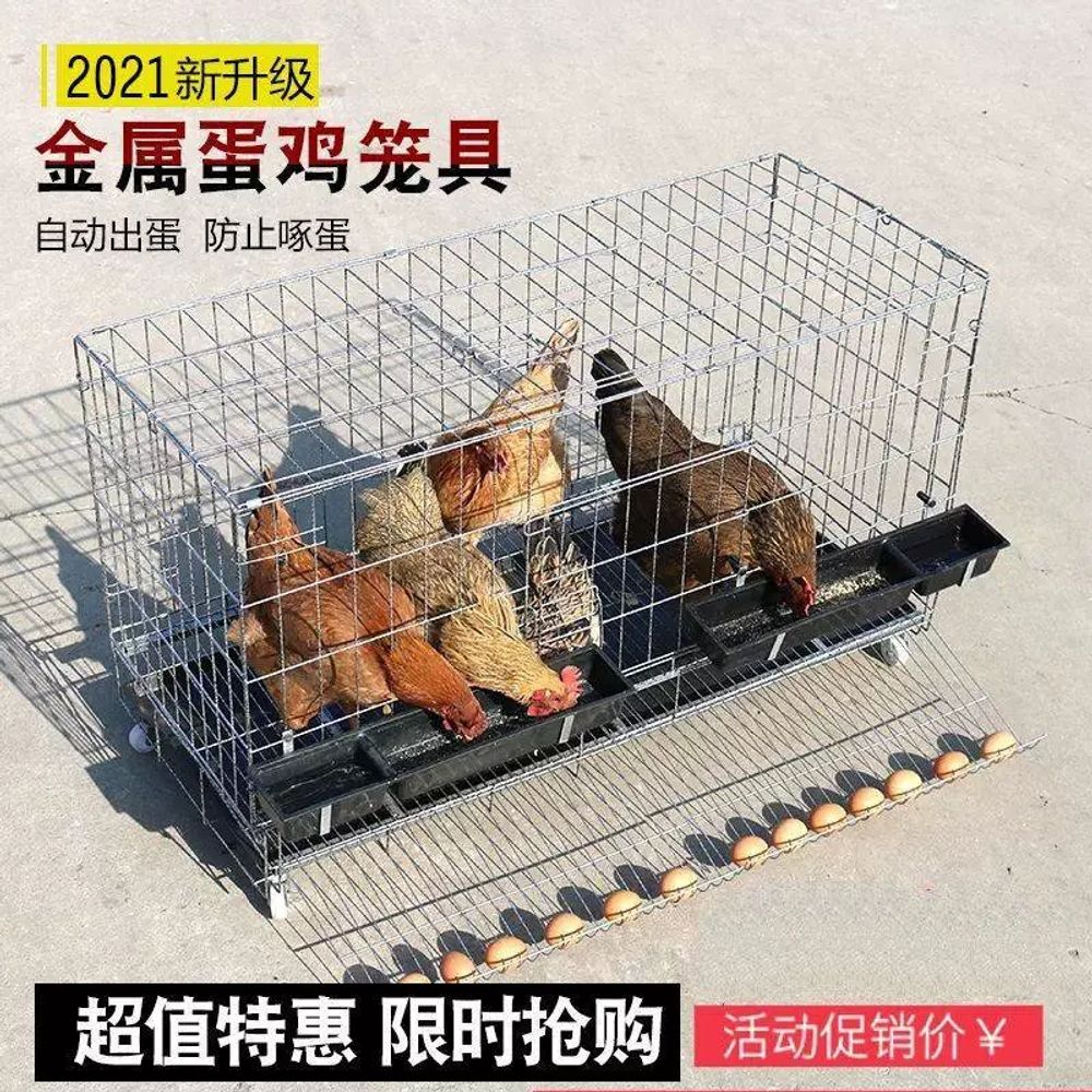 조립식 닭장 닭우리 철망 우리 닭 메추리 대형 야외 놀이터 - 상세 이미지 3
