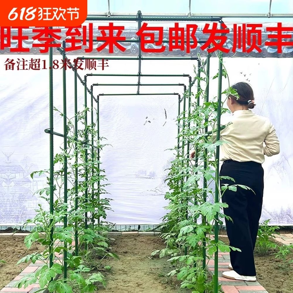 넝쿨 지지대 덩굴 고추 정원 포도 울타리 장미 토마토 식물 - 상세 이미지 2