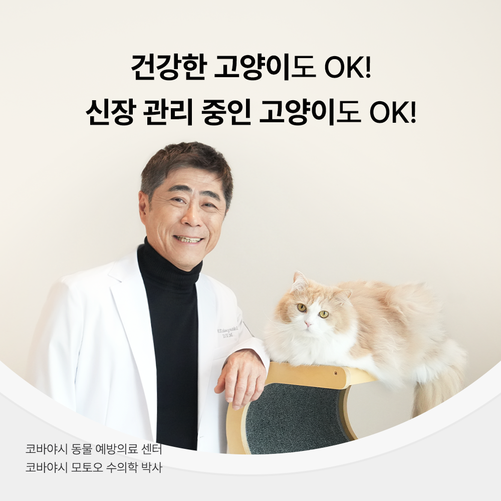 야옹섬 고양이 간식 신장 트릿 AIM 닥터토루 신부전 관리 50g, 3개 이미지 3
