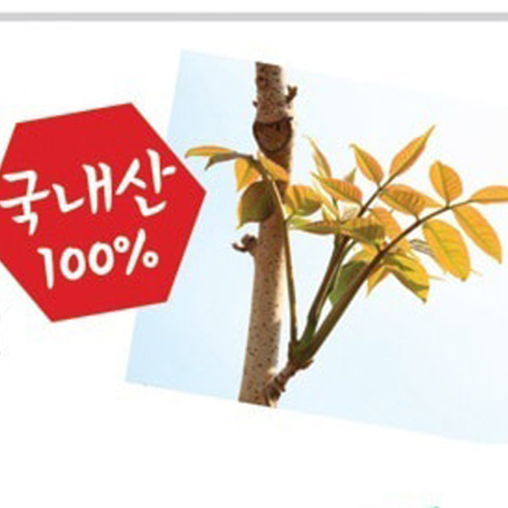 옻가네 프리미엄 참옻 발효 진액 옻닭 백숙 만드는 방법 레시피 효능 1500ml, 2개입, 2개 - 상세 이미지 3