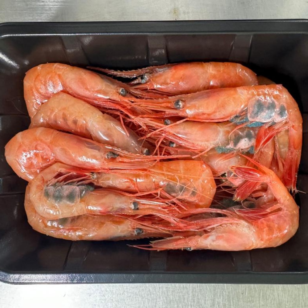 아마에비 단새우 아마애비 새우회 급냉 단새우회 홍새우 냉동 초밥 초밥용 횟감 500g 이미지 8