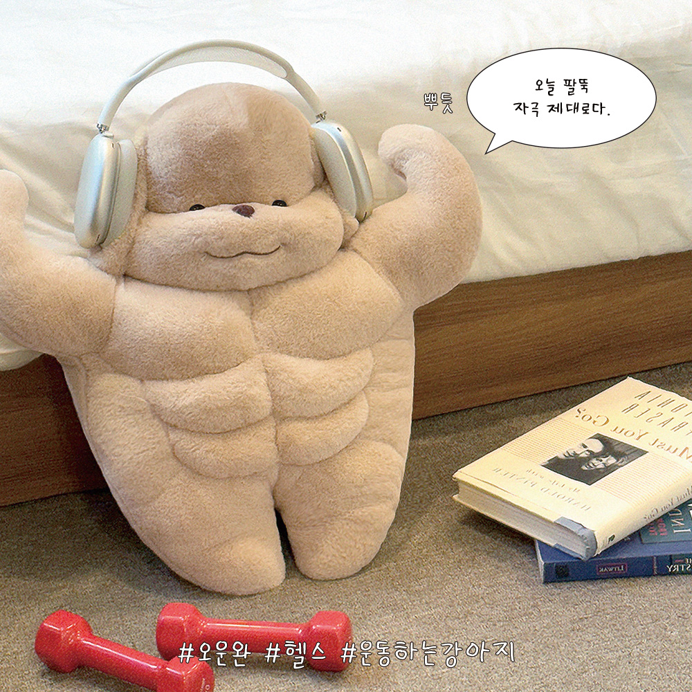 도르레상점 오운완 몸짱 헬스 강아지 바디필로우 인형 - 상품 이미지