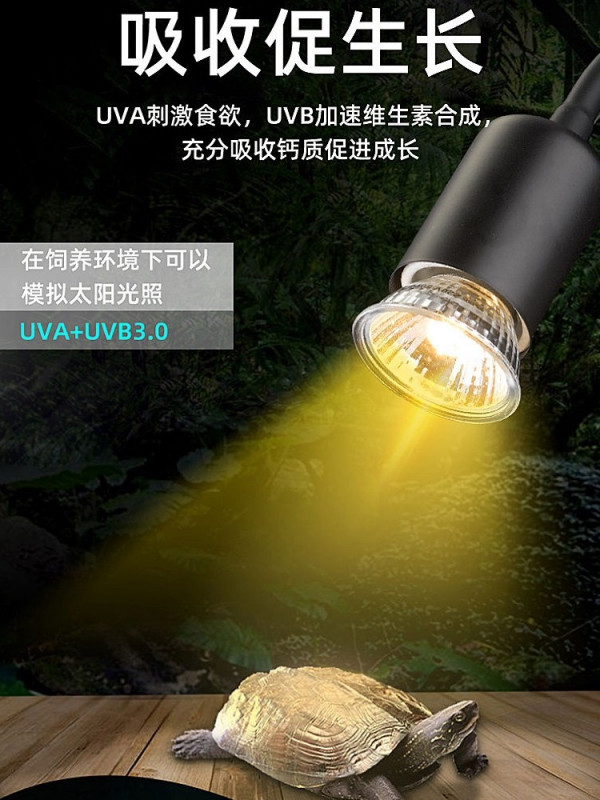 거북이히터 난방 애완동물 조명 클램프 클립형 UVB 램프 이미지 6