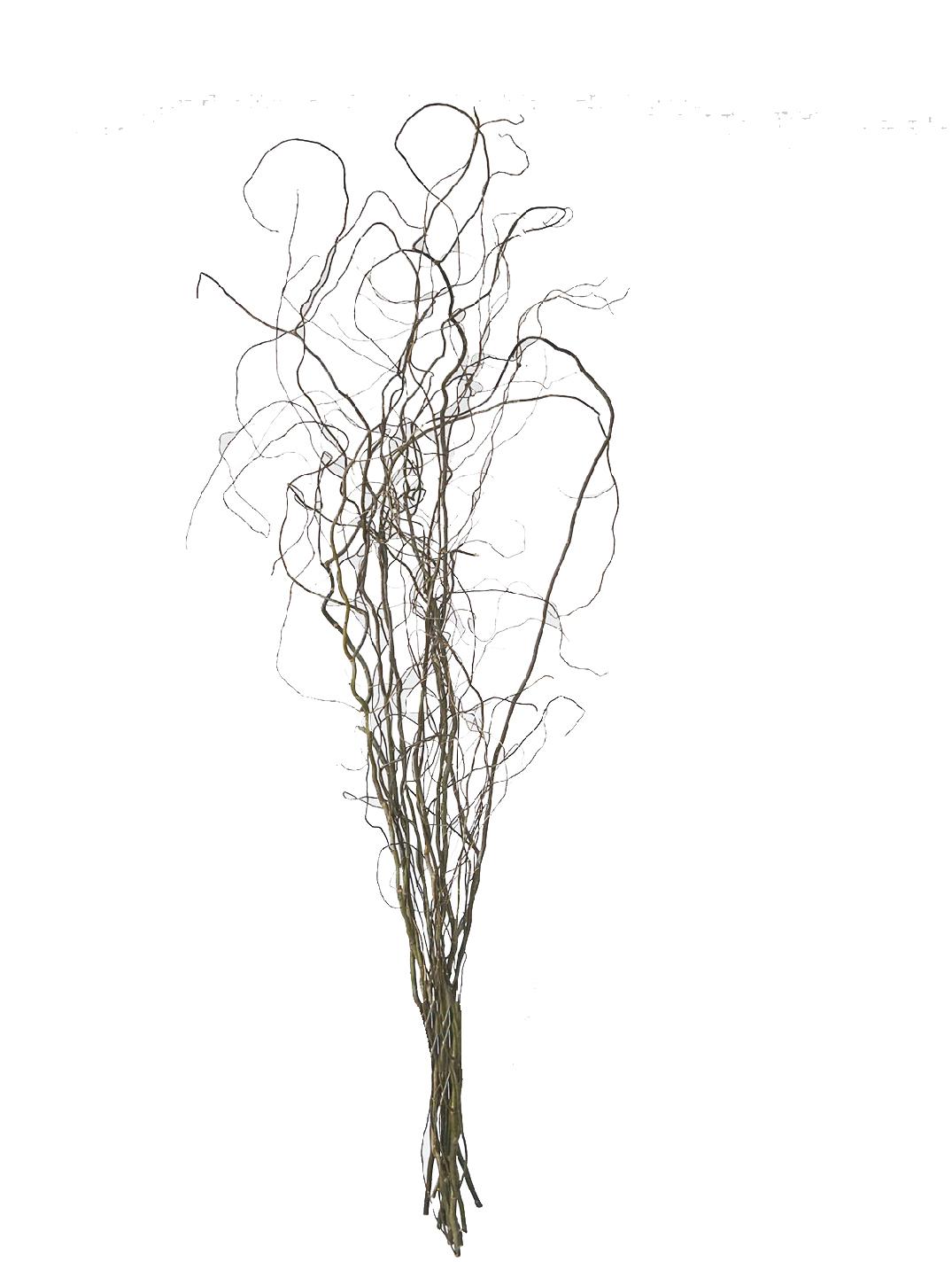 인조 나뭇가지 카페 장식 소품 실내 인조식물 스타일링 램프 스탠드 10개 약 70cm 100cm 건조 가지 이미지 6