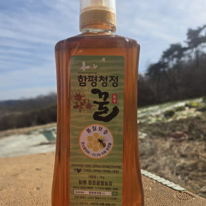 함평청정 자연산 숙성꿀 완숙꿀 완전숙성 벌꿀 튜병 1kg 맛있게 먹은 솔직 후기 - 상품 이미지 1