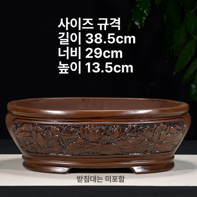조경 소나무 기념식수 전원주택 특수목 관상수 분재형 소형 원형 자기토 사진과 동일 - 상세 이미지 4