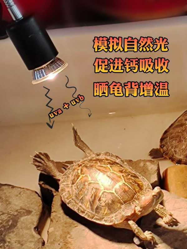 거북이히터 난방 애완동물 조명 클램프 클립형 UVB 램프 - 상세 이미지 3