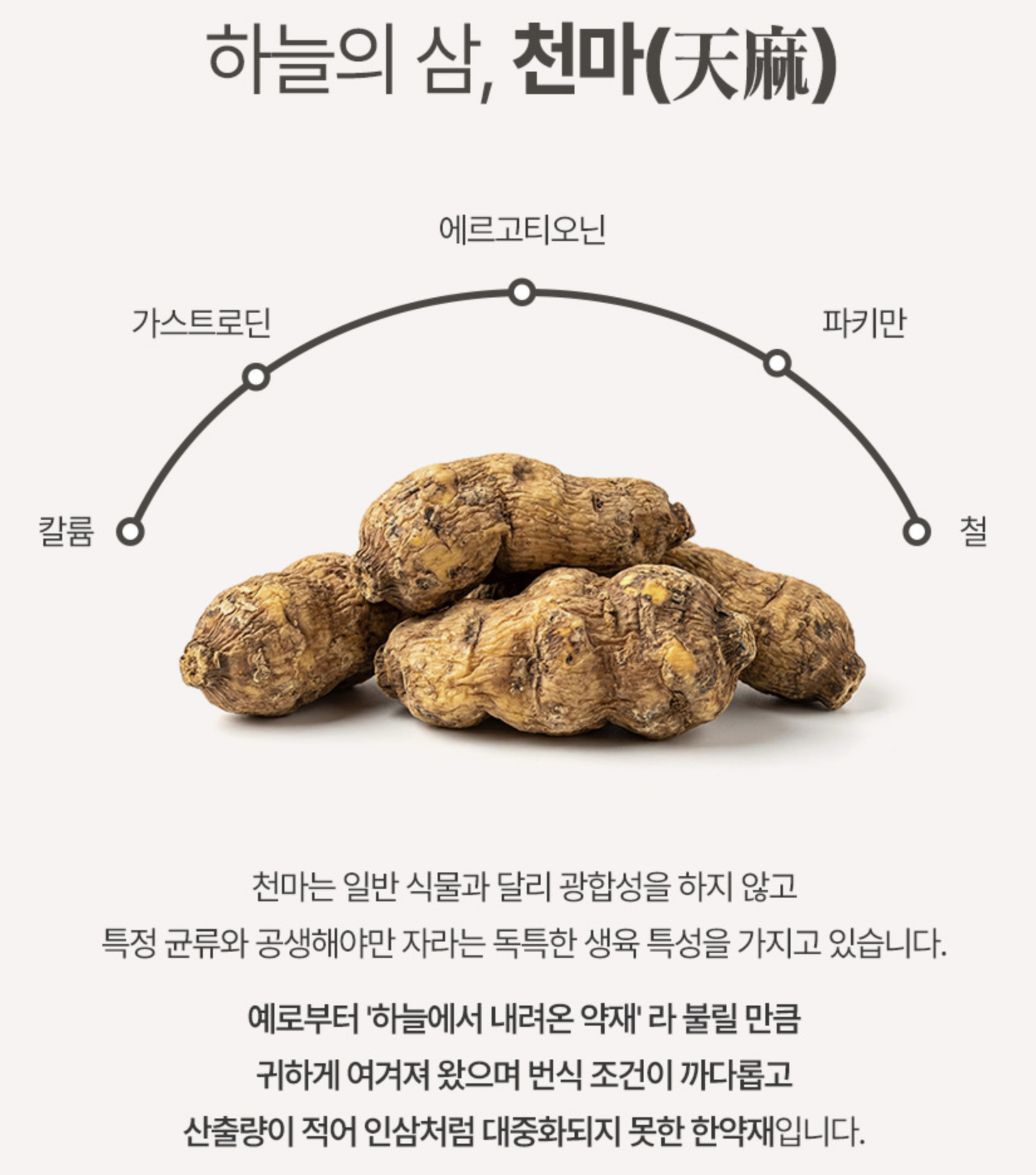 발효천마환 효과 국산 천마뿌리 진피 참당귀 - 상세 이미지 5