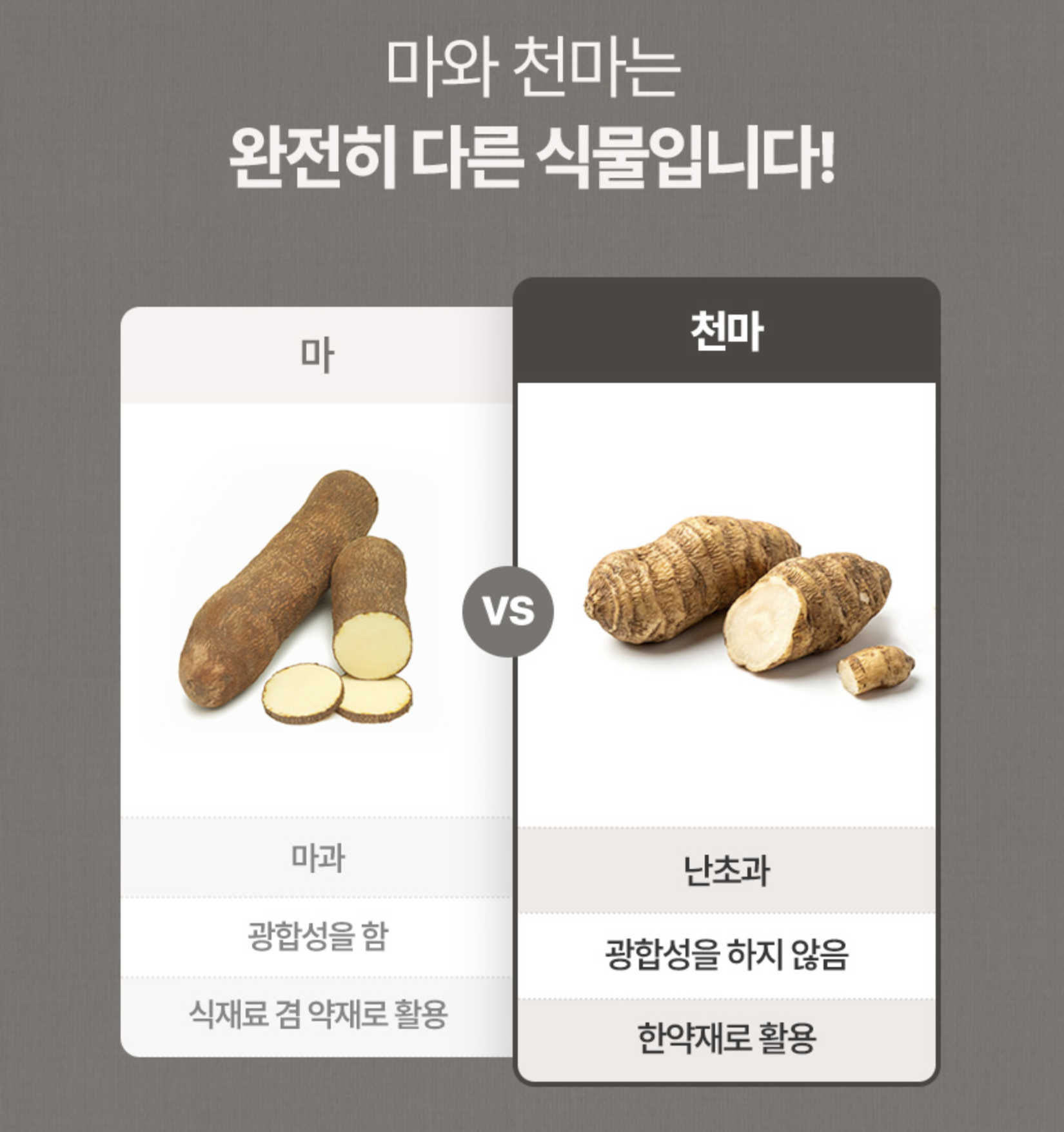 발효천마환 효과 국산 천마뿌리 진피 참당귀 이미지 6