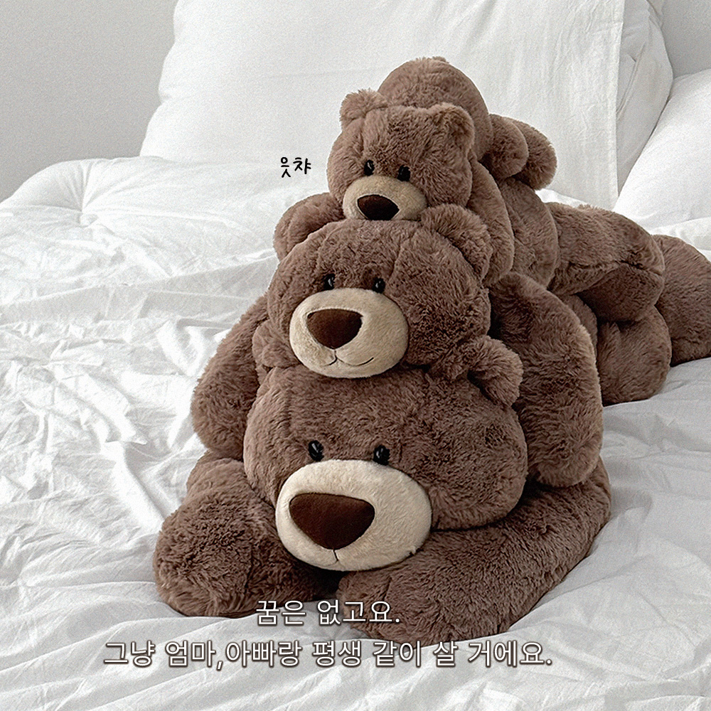 도르레상점 곰 세마리 곰돌이 애착인형 엄마곰 M - 상품 이미지