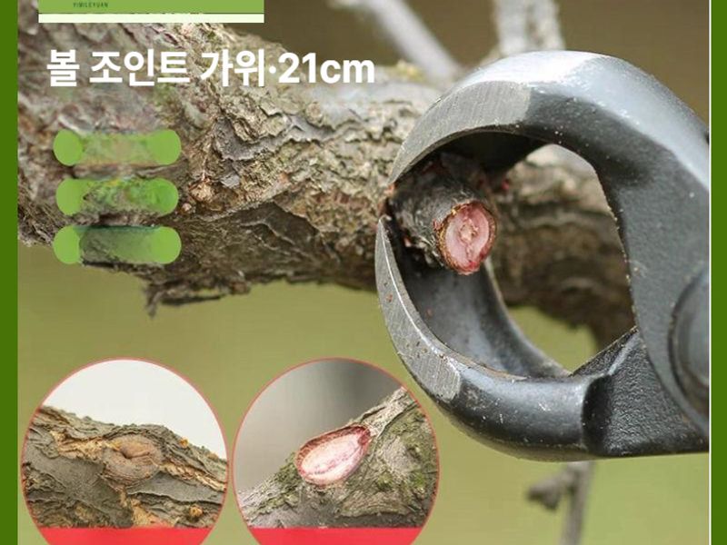 분재 절단 꽃 가위 혹 조인트 나뭇가지 조경 세트 가드닝 꽃 화분 도구 - 상세 이미지 2