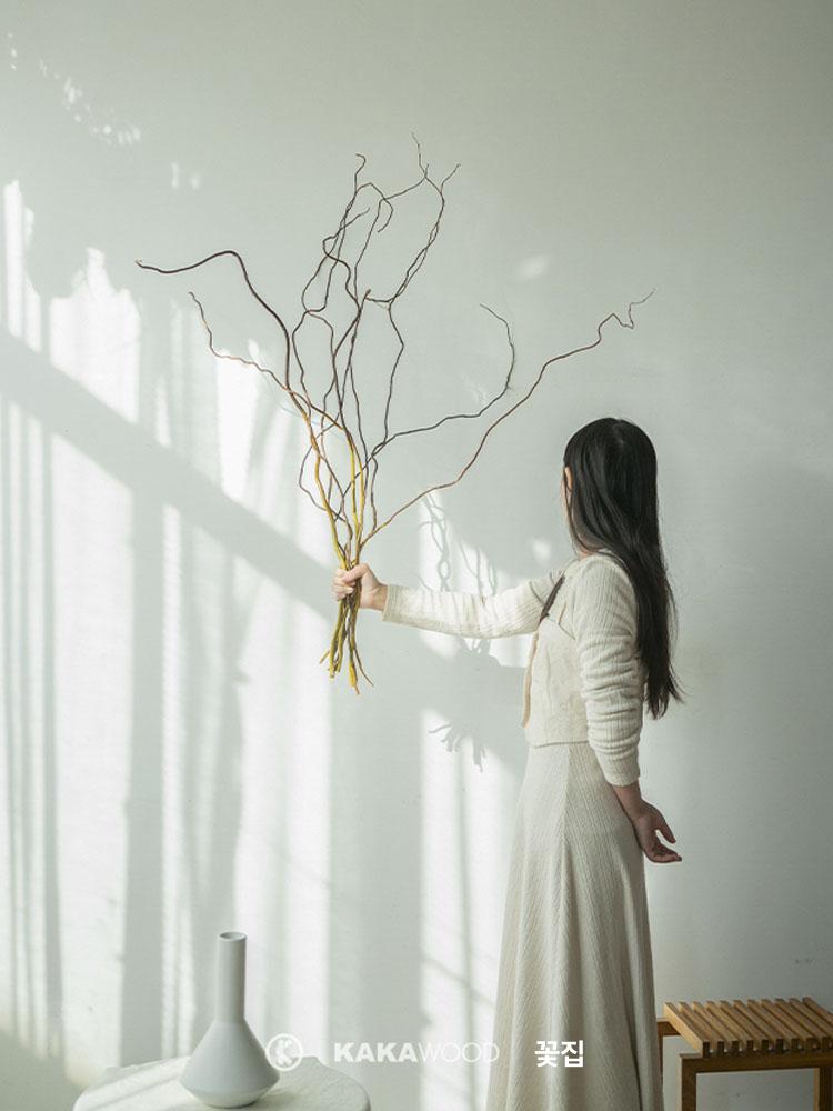 인조 나뭇가지 카페 장식 소품 실내 인조식물 스타일링 블루 드래곤 윌로우 10개 85cm 100cm 건조 가지 - 상세 이미지 4