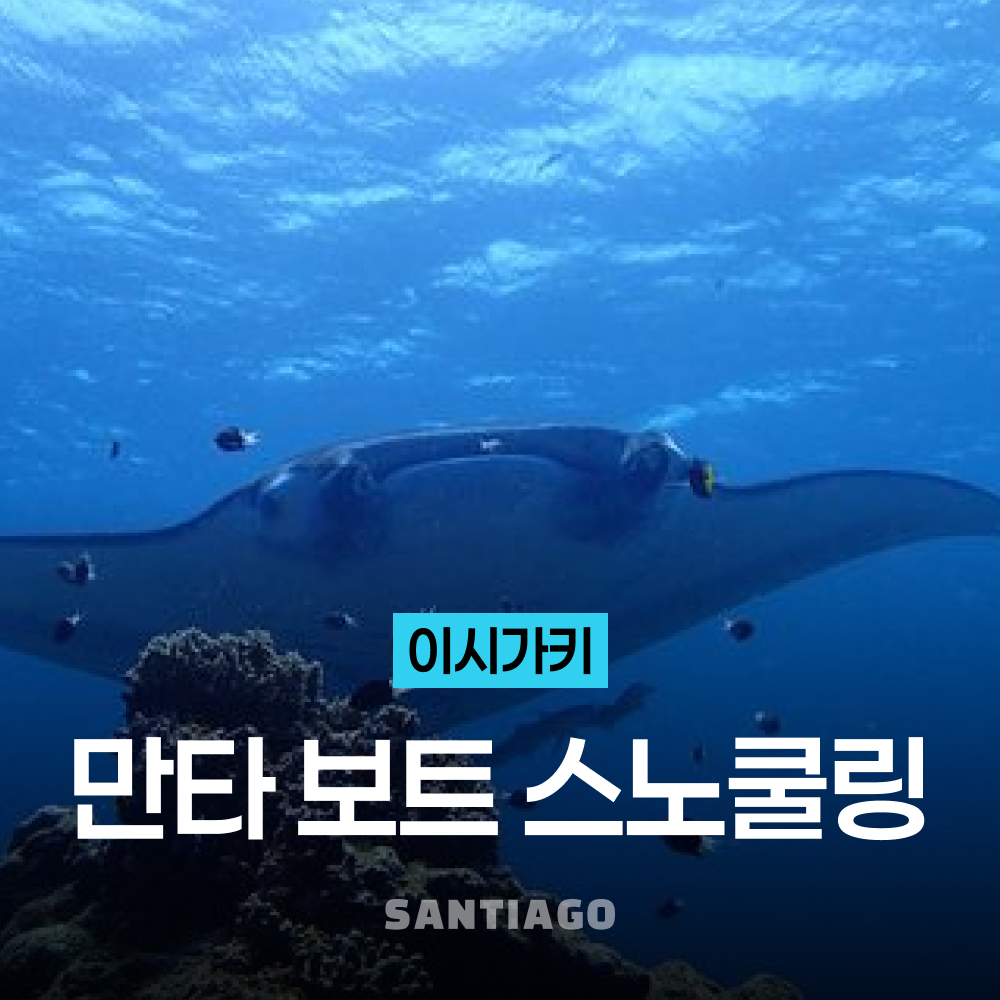 오키나와 이시가키 만타 바다거북 보트 스노쿨링 호핑투어 - 상품 이미지