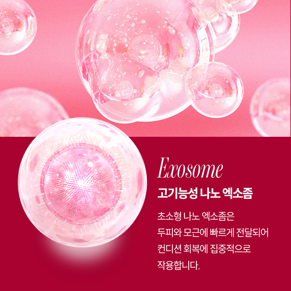 먼프리 엑소좀 줄기세포 탈모완화 김영대 샴푸 두피 손상모발 개선 다즐링티, 519ml, 2개 - 상세 이미지 3