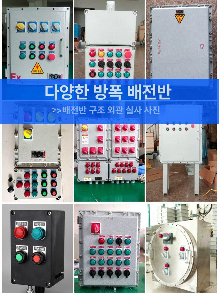 방폭 분전함 산업용 캐비닛 정션 박스 옥외 전기함 철제 230 x 230x130 150 대리석 패턴 - 상세 이미지 3