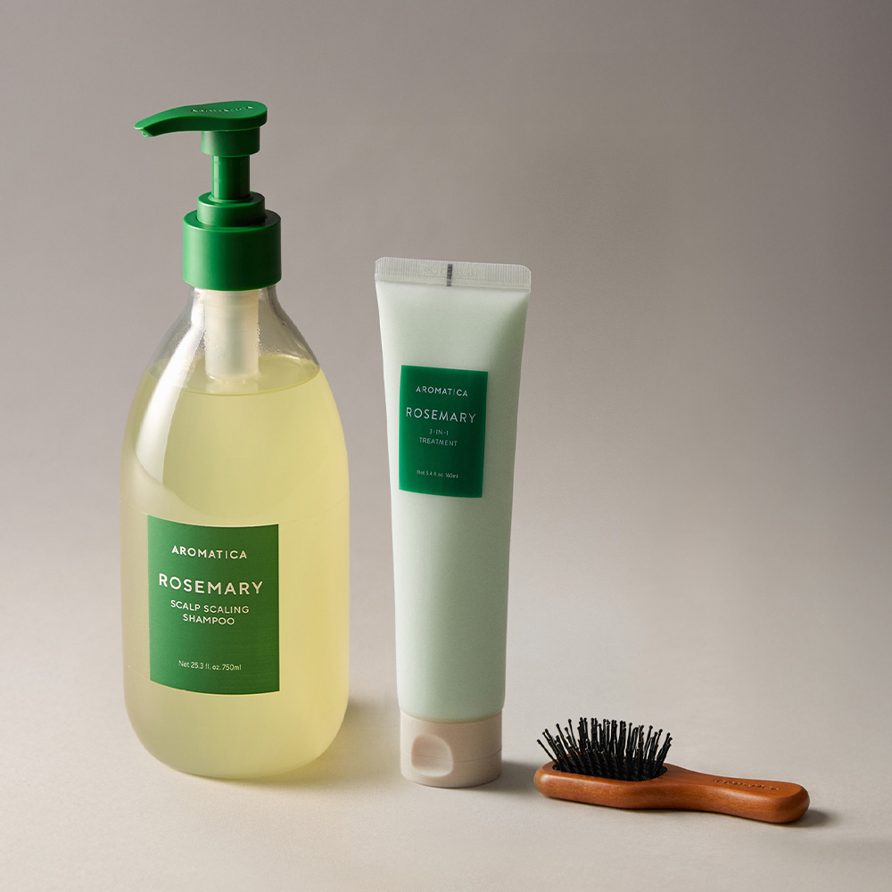 아로마티카 로즈마리 샴푸 750ML & 트리트먼트 160ML & 브러쉬 데일리 헤어 리추얼 세트 - 상품 이미지