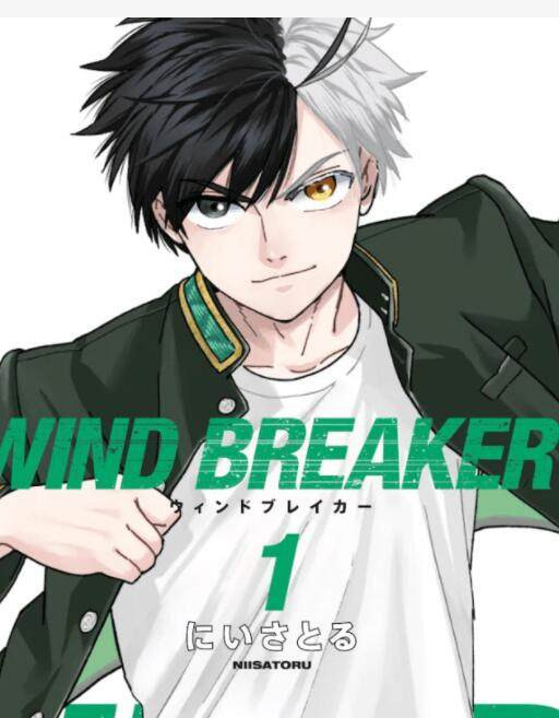 윈드 브레이커 WIND BREAKER 사쿠라 하루카 코스프레 가발 - 상세 이미지 3