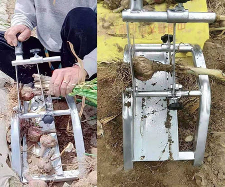 [해외]마늘 작두 뿌리 줄기 수동 양파 컷팅기 자르기 1. 양방향 단두대 (최신 특허 다기능)