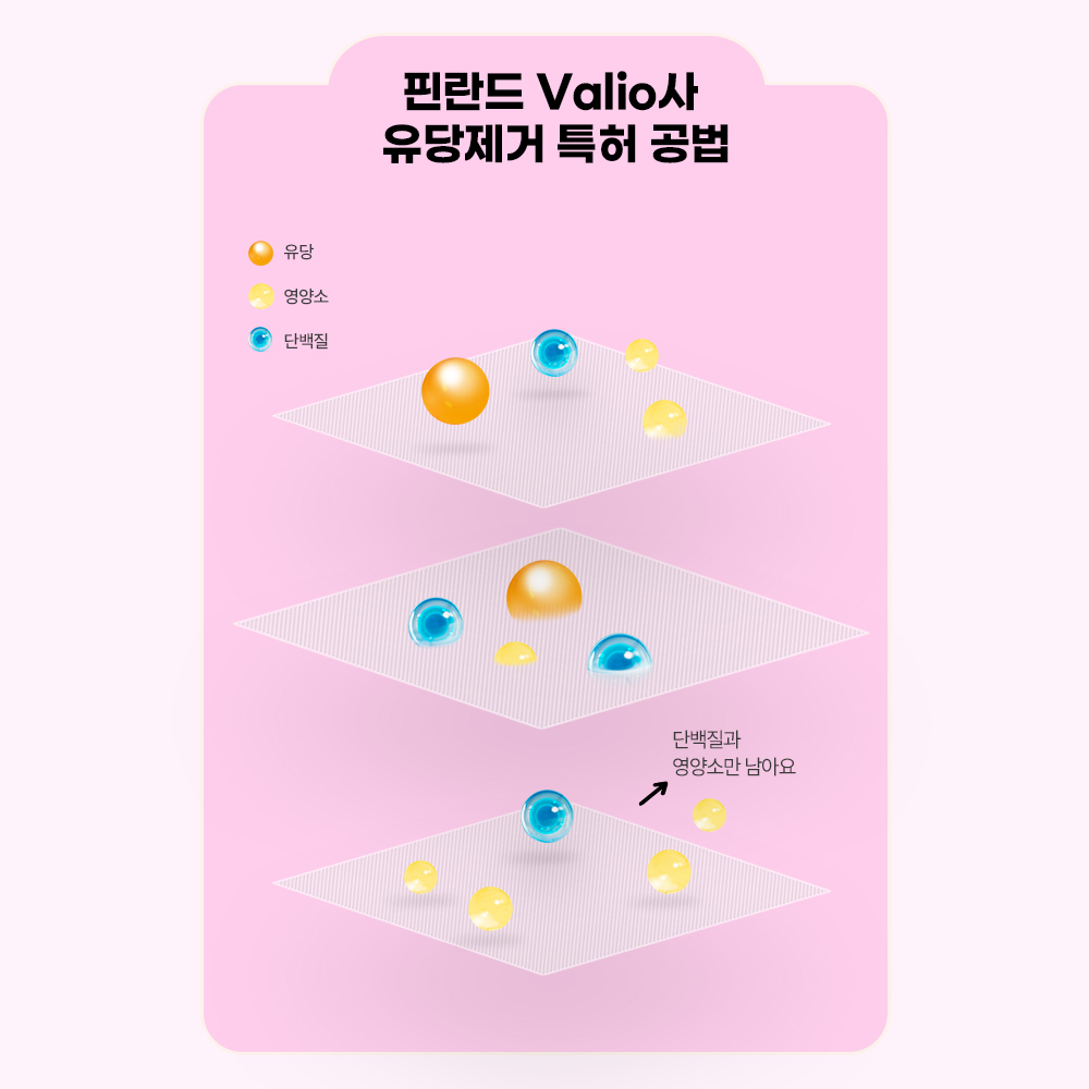 강아지 영양제 추천 면역력과 피부관리 꿀팁 펫또마망 프리미엄 후기와 선택법