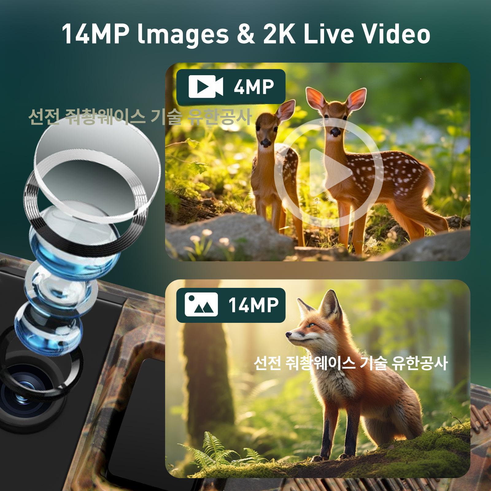 야외 무선 태양광 방수 적외선 포켓 라이트 촬영 카메라 dl-02 태양광 패널 포함 - 상세 이미지 5