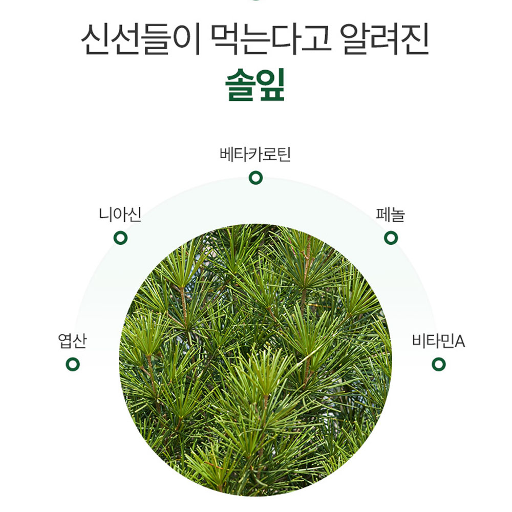 국산 솔잎 차 티백 100개입 소나무 잎차 무 카페인없는 tea 이미지 6