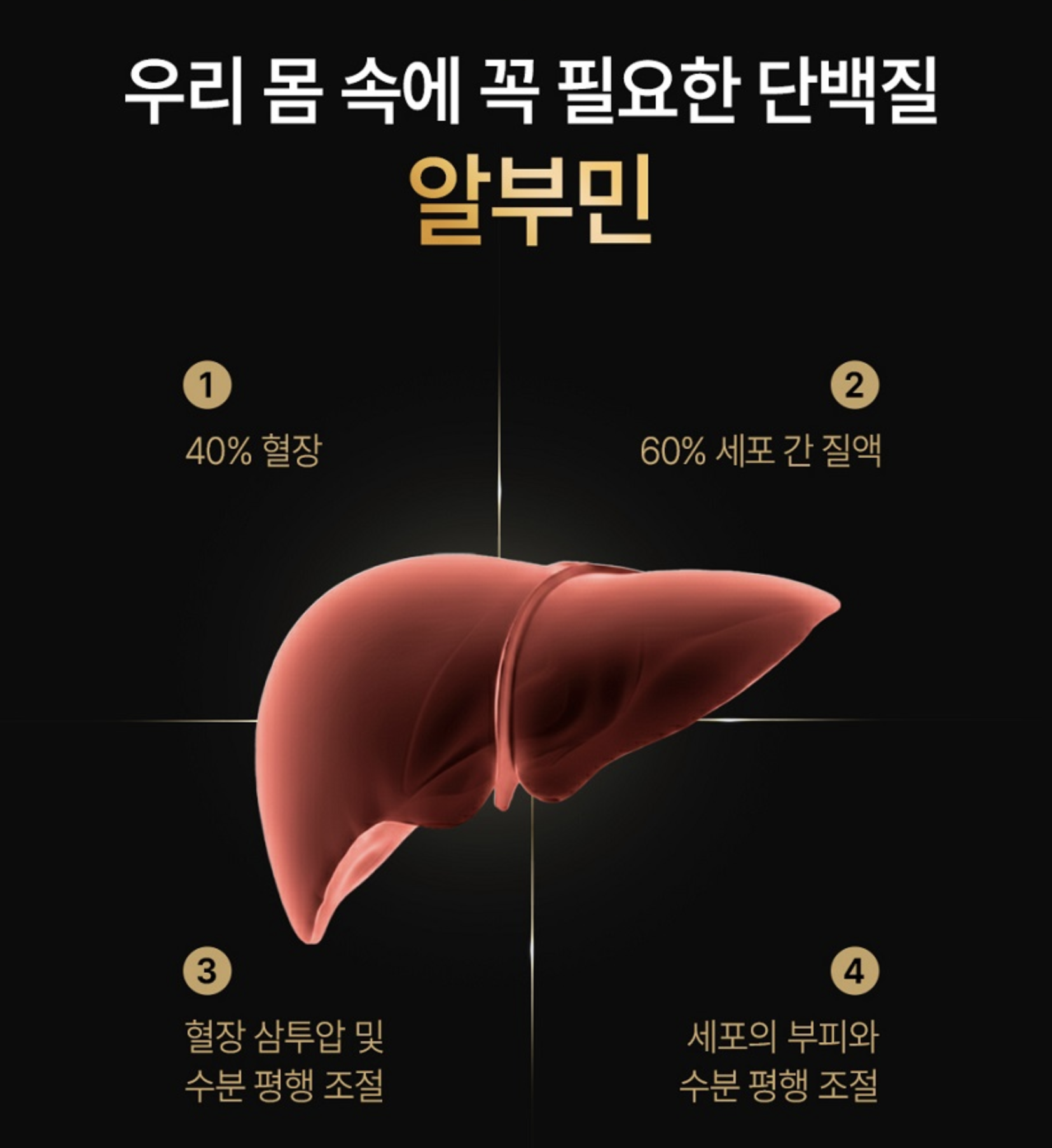 액상 알부민병 고함량 알부민골드플러스 알브민 식약처 이미지 8