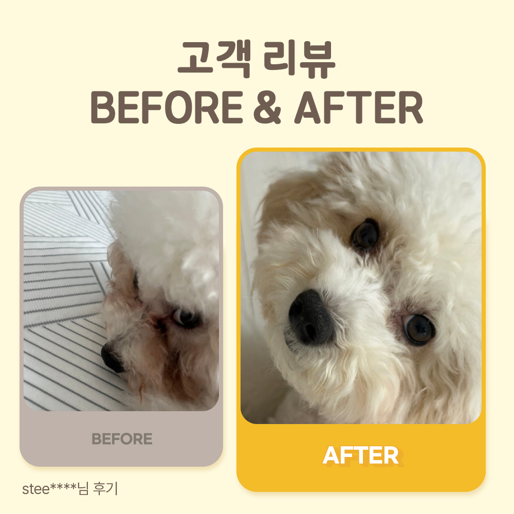 펫또마망 프리미엄 강아지 영양제 면역력 눈+눈물, 80g, 2개 - 상세 이미지 3