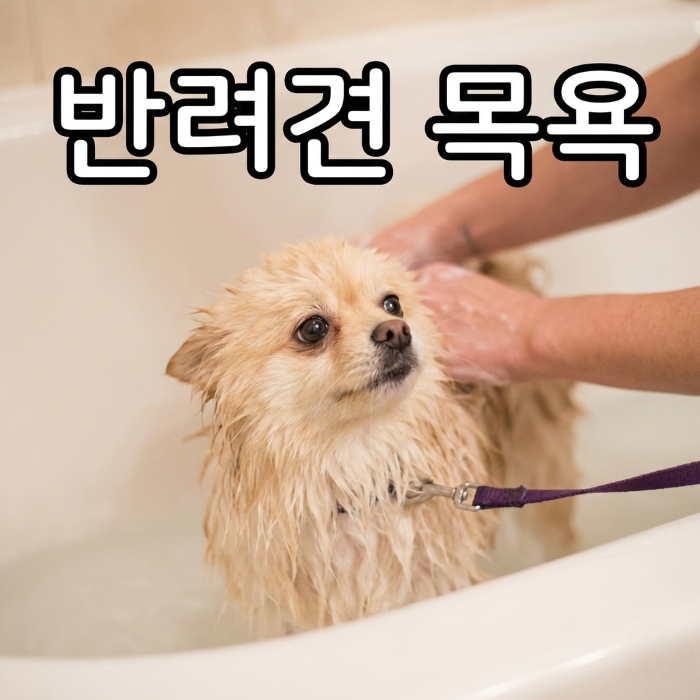 남자 방수 앞치마 빅사이즈 대형 정육점 식당 주방 설거지 작업용 그린 이미지 6