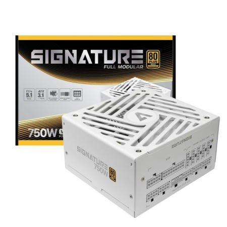AONE 시그니처 750W 80PLUS골드 풀모듈러 ATX3.1 화이트
