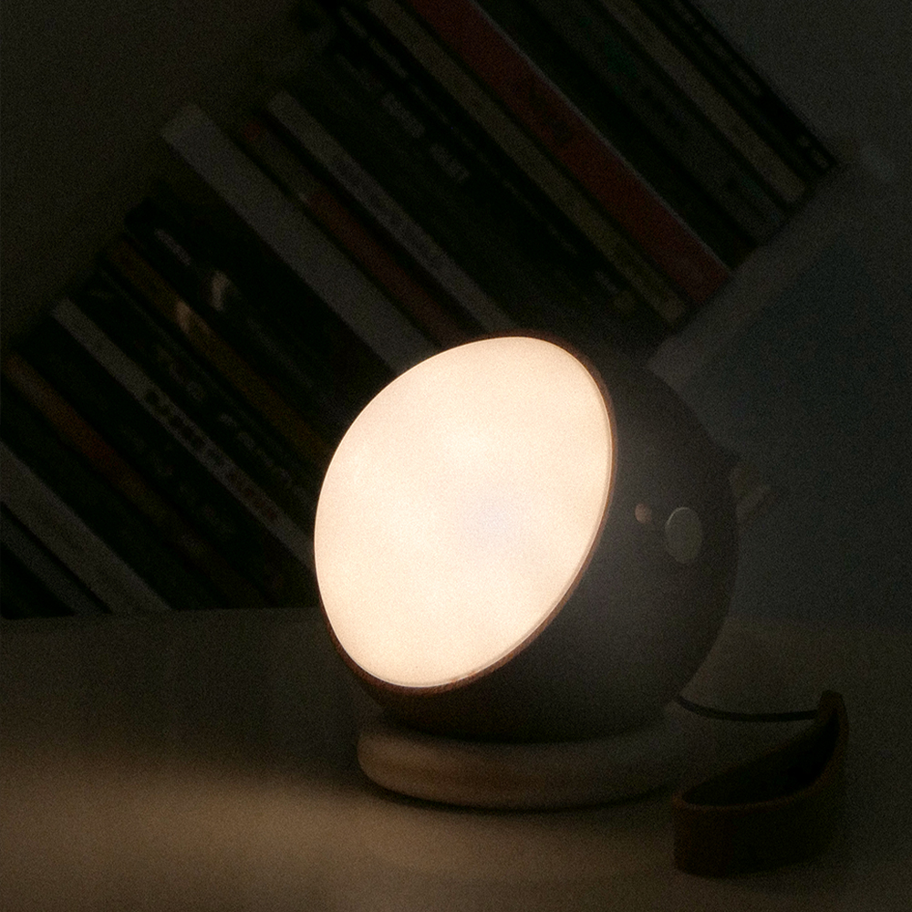 오르미 문볼 음성인식 무드등 침실 조명 벽걸이 탁상겸용 수면등