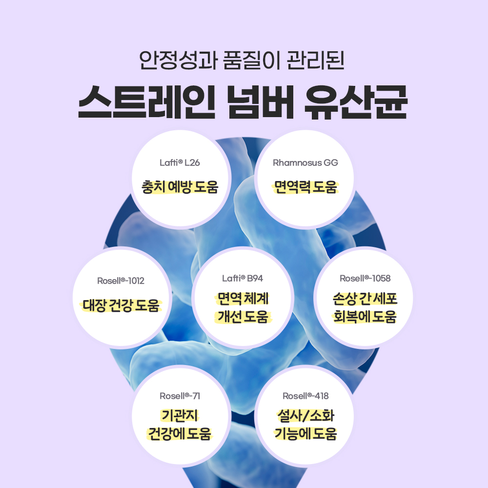 펫또마망 강아지 유산균 프로바이오틱스 30 포 장건강 30포, 2개 이미지 8