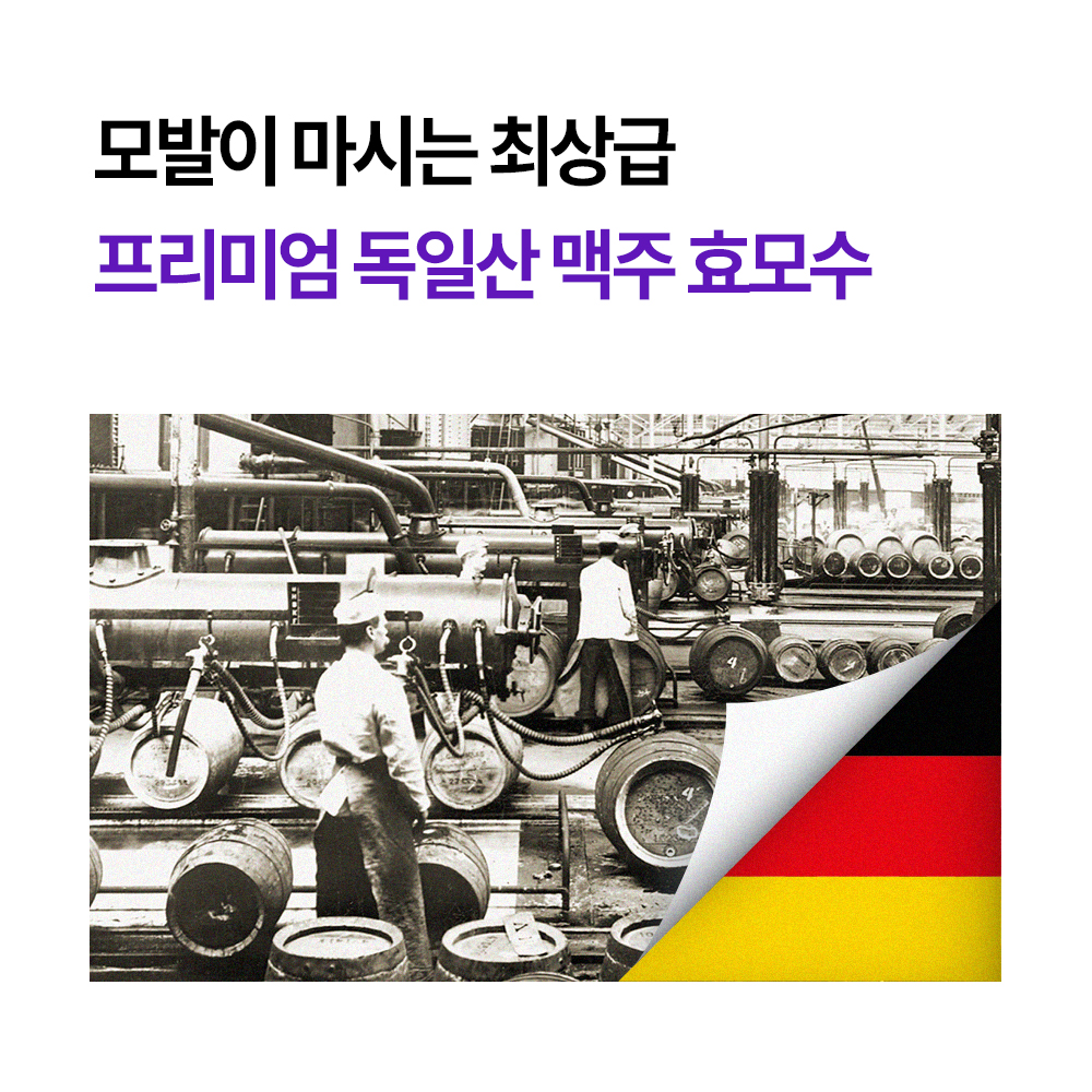 먼프리 독일 맥주효모 단백질 김영대 트리트먼트 콜라겐 손상모 린스 헤어팩 카멜리아향, 1059ml, 2개 이미지 2