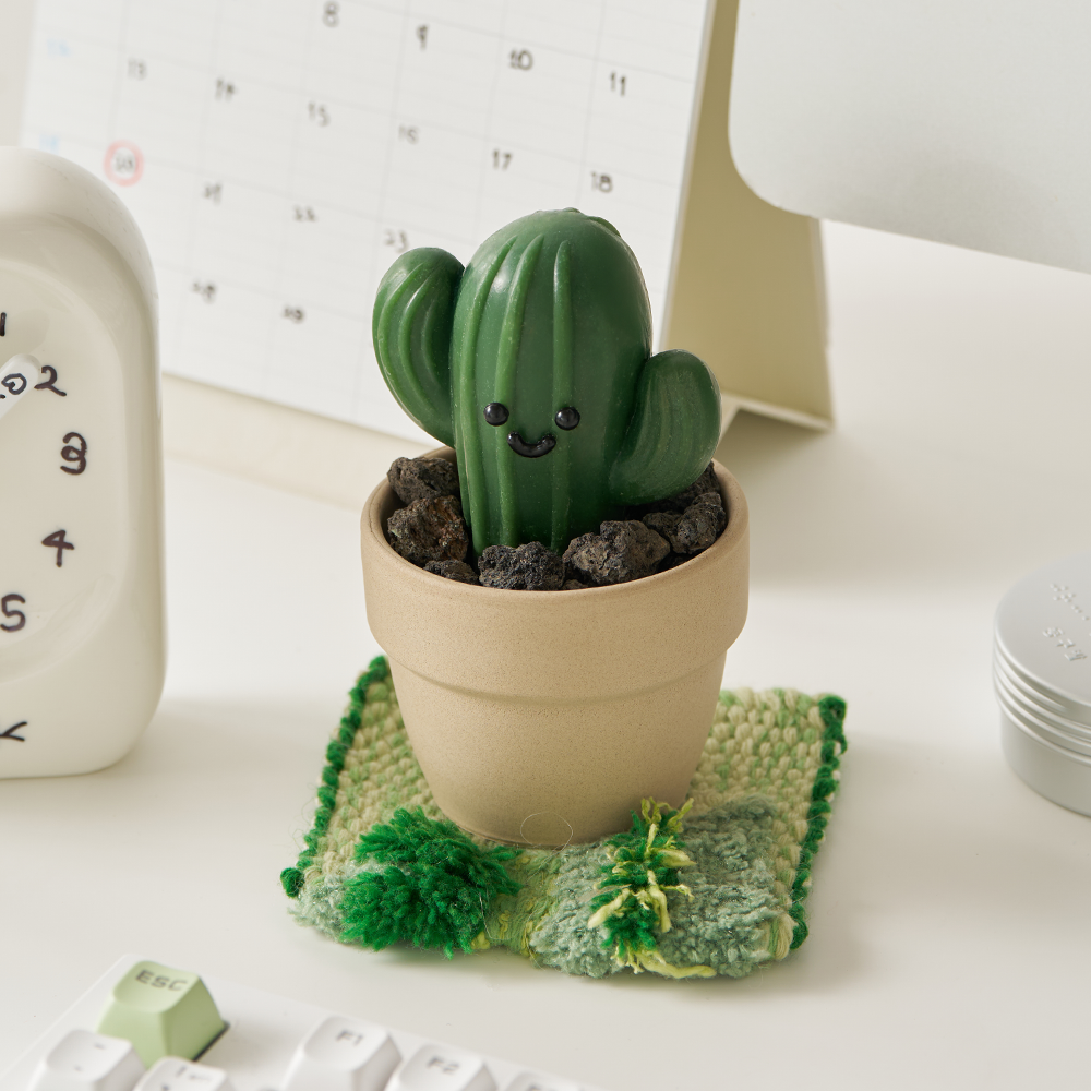 동구밭 캑터스 올인원 퍼퓸바 세트 / 약산성 비누 집들이선물 선인장 오브제 제품 이미지