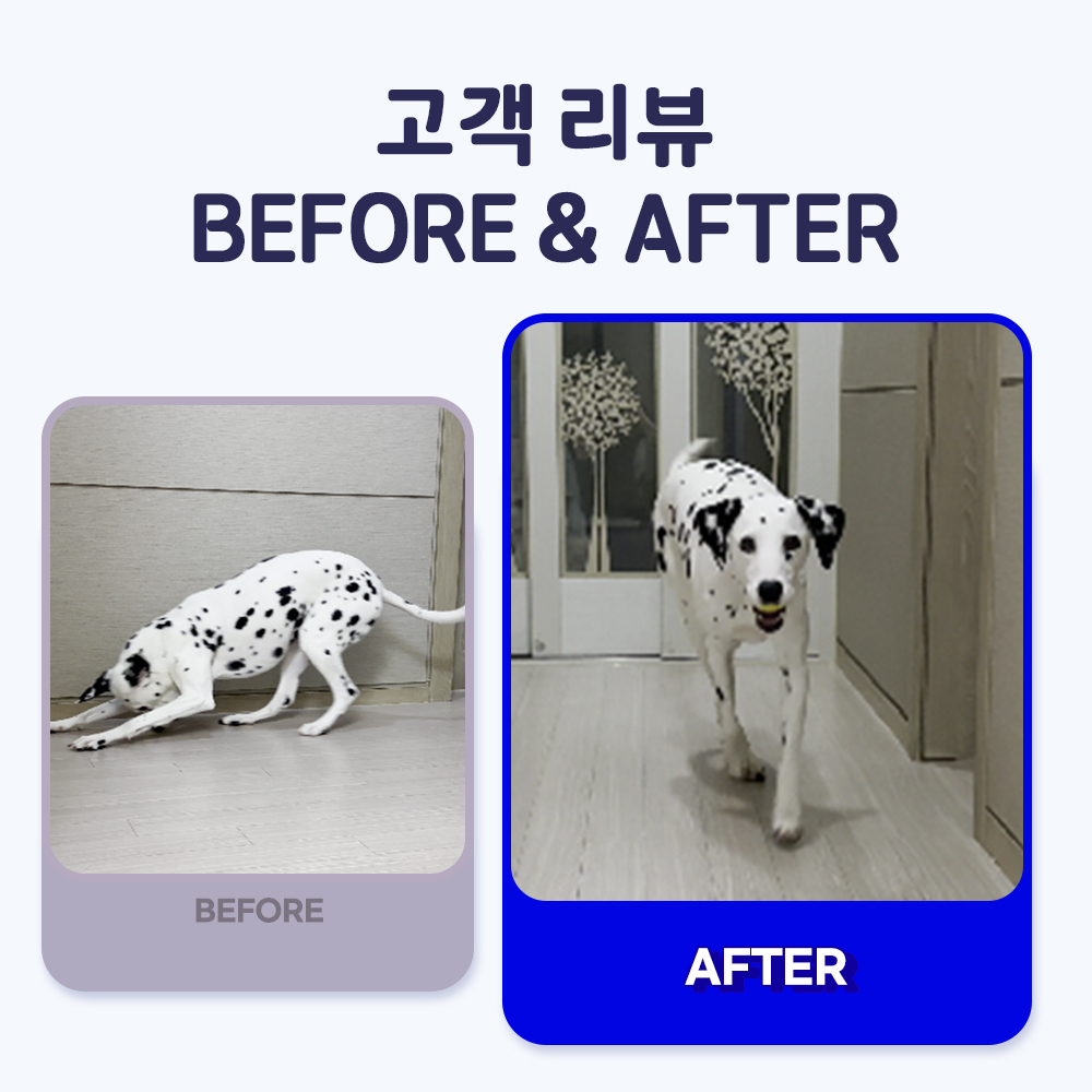 펫또마망 강아지 미끄럼방지 풋크림 슬개골탈구 예방 보습제 30ml, 1개 상품 이미지