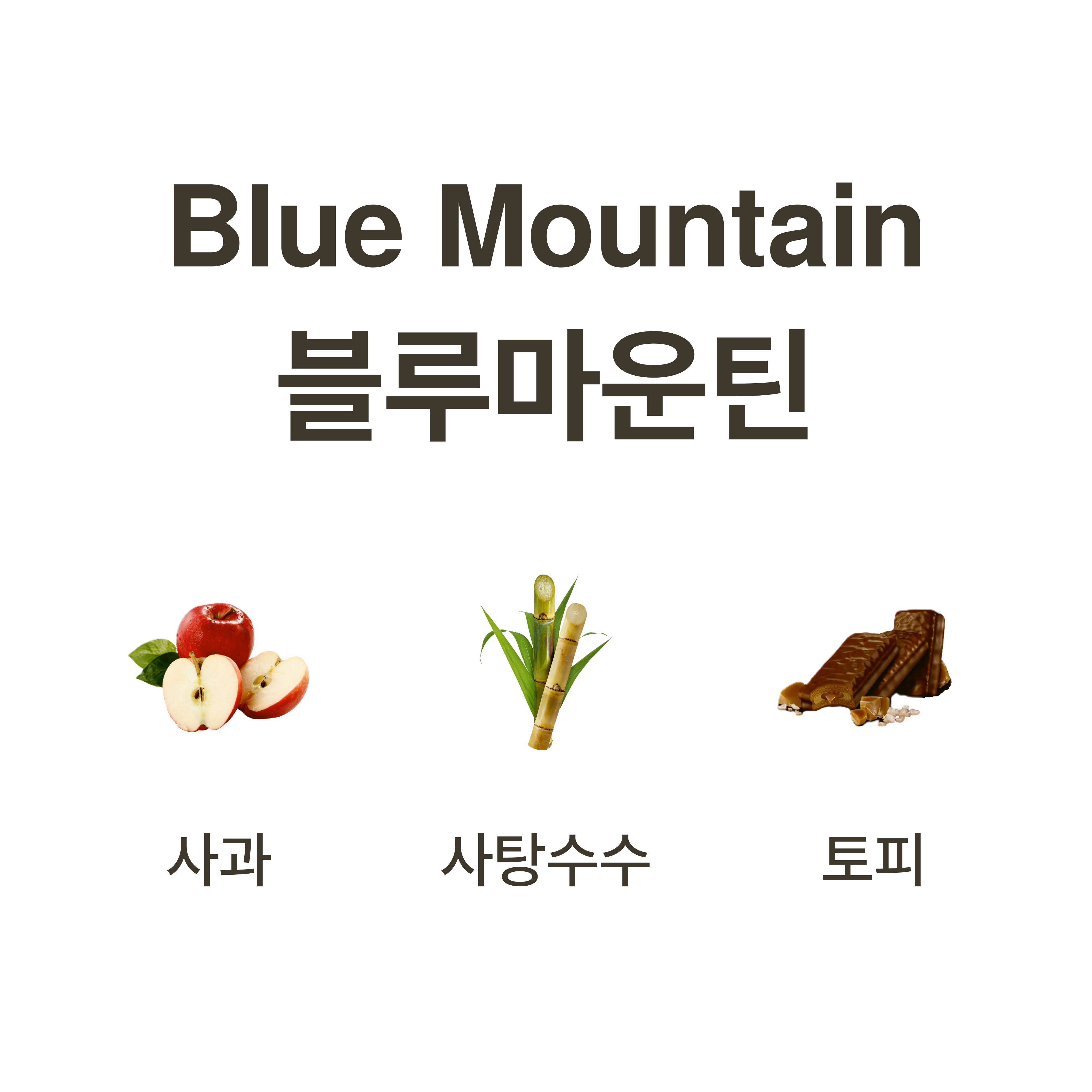 [빈즈 png블루 마운틴]커피 원두/ 밸런스 부드러운 데일리 홈카페 500g, 2개 - 상세 이미지 2