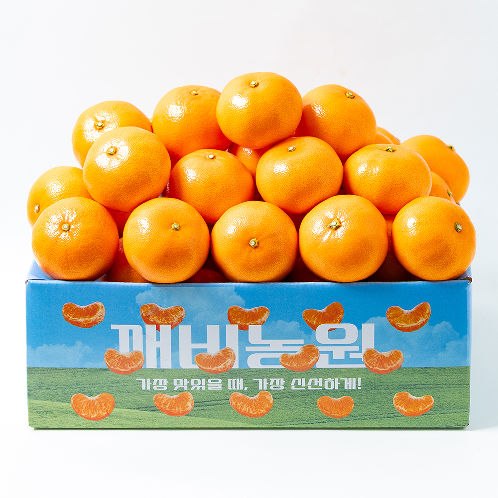 깨비농원 고당도 제주 천혜향 4.5kg 제품 이미지