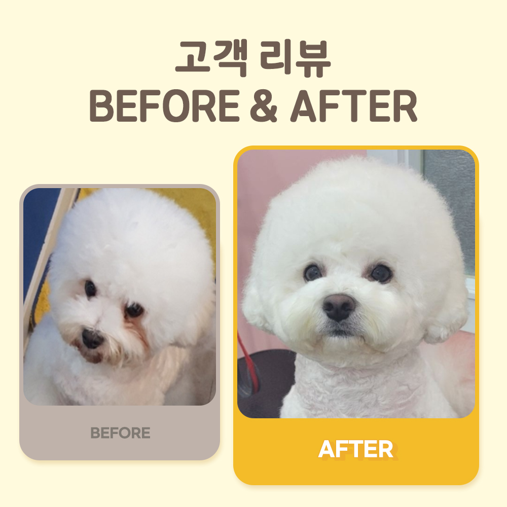 펫또마망 프리미엄 강아지 영양제 면역력 눈+눈물, 80g, 2개 - 상세 이미지 4