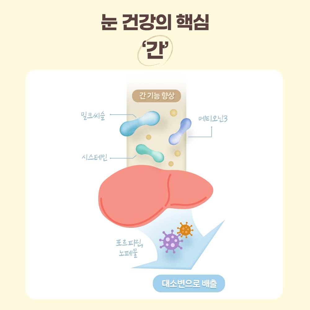 펫또마망 프리미엄 강아지 영양제 면역력 눈+눈물, 80g, 2개 이미지 6