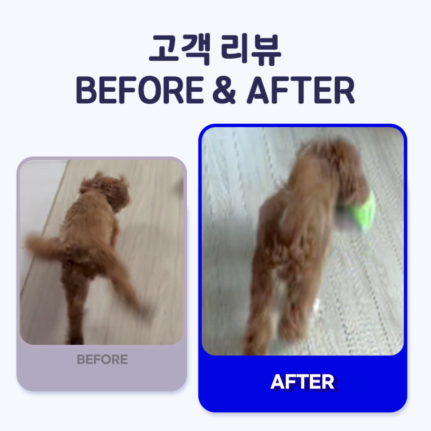 펫또마망 강아지 미끄럼방지 풋크림 슬개골탈구 예방 보습제 30ml, 1개 사진 5