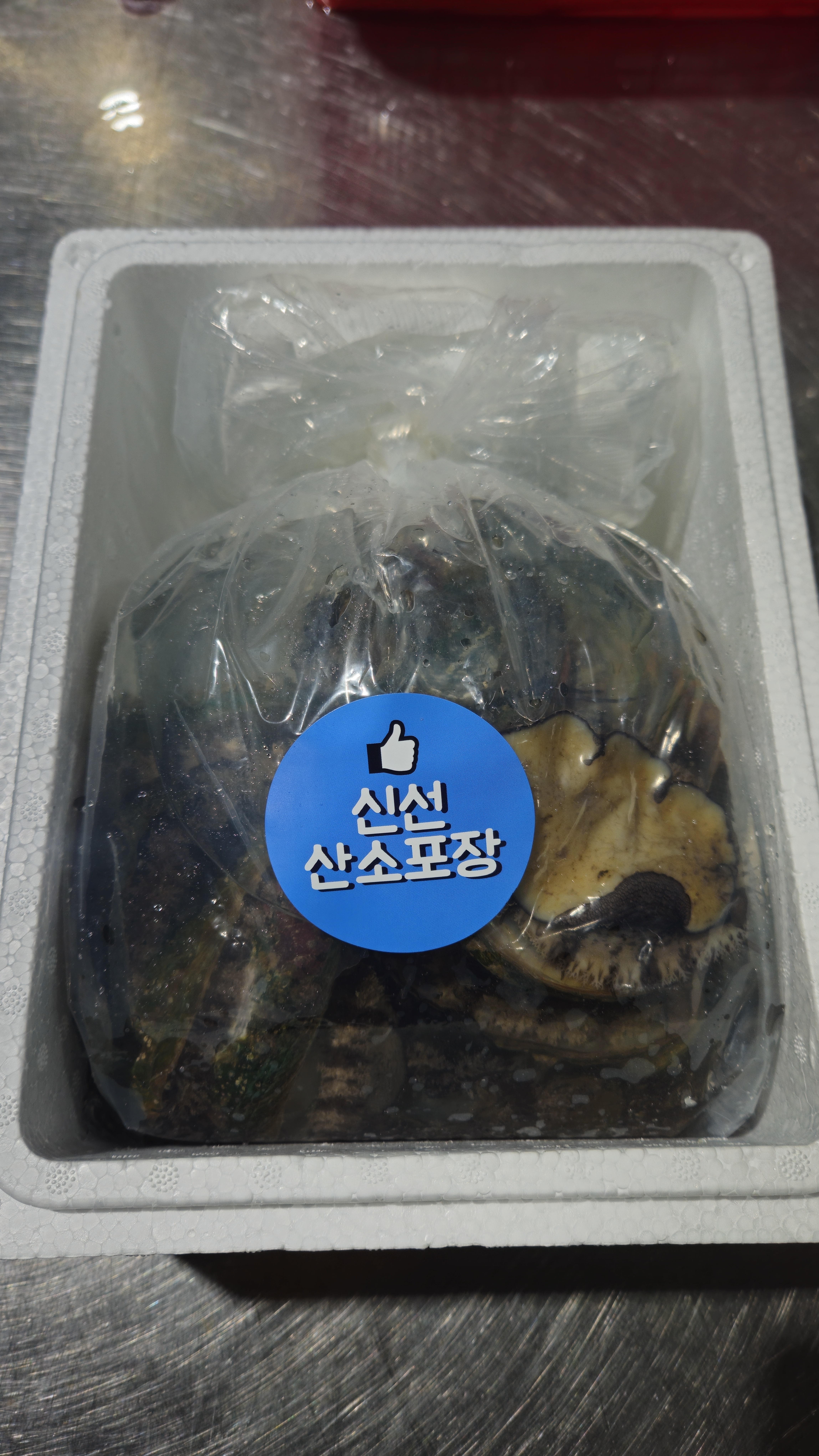 완도 국산 생 활 전복 횟감용 산소포장 특대 1kg 외 - 상세 이미지 3