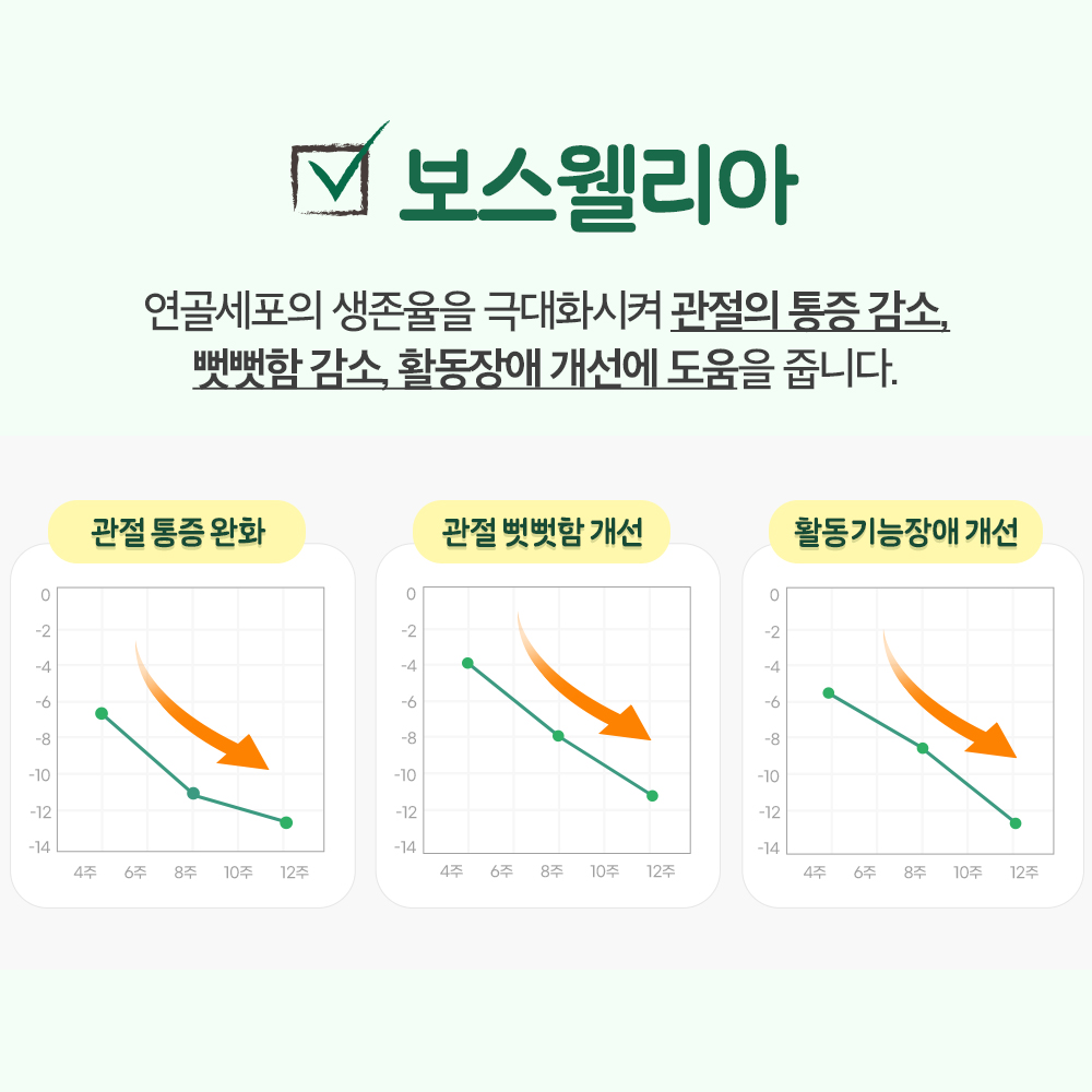 펫또마망 프리미엄 강아지 영양제 면역력 뼈+관절, 80g, 1개 이미지 7