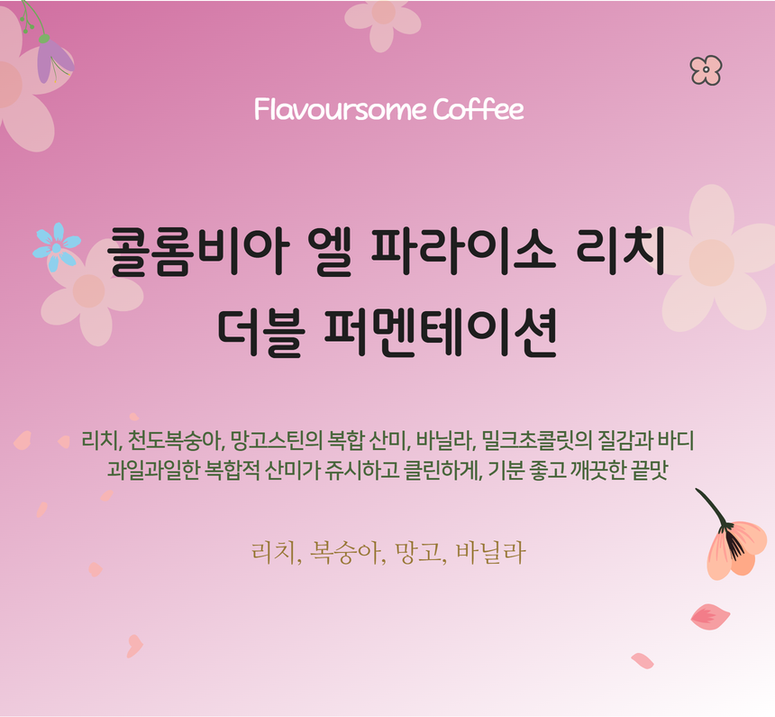 콜롬비아 엘 파라이소 더블 무산소 리치 & 리치피치 이미지 2