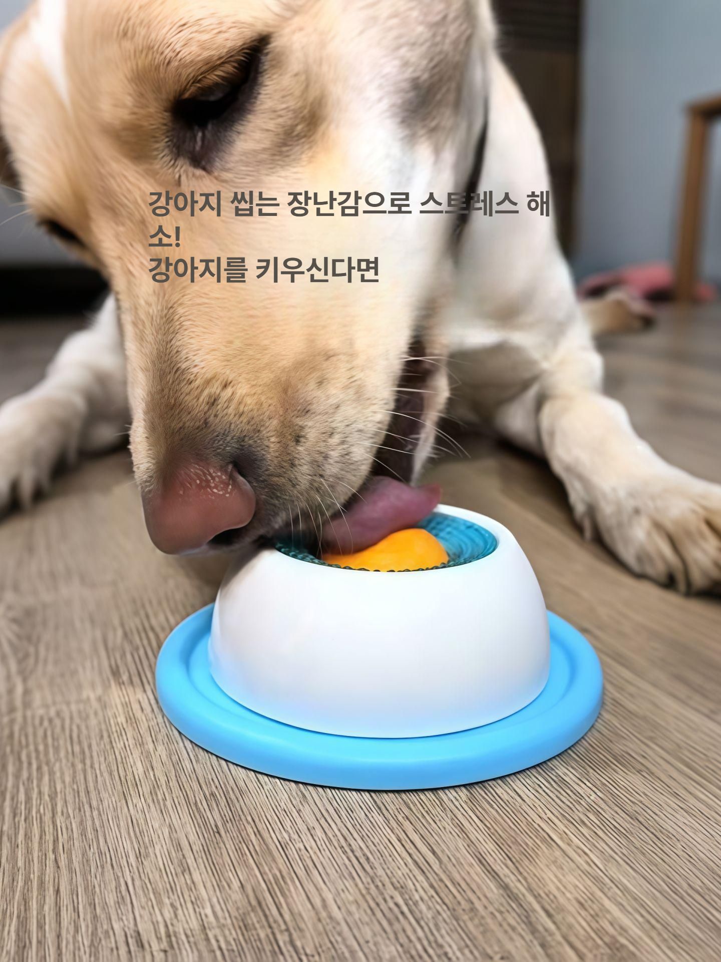 강아지 고양이 방지 내구성 장난감 자동 급식기 블루 강아지용 - 상세 이미지 5