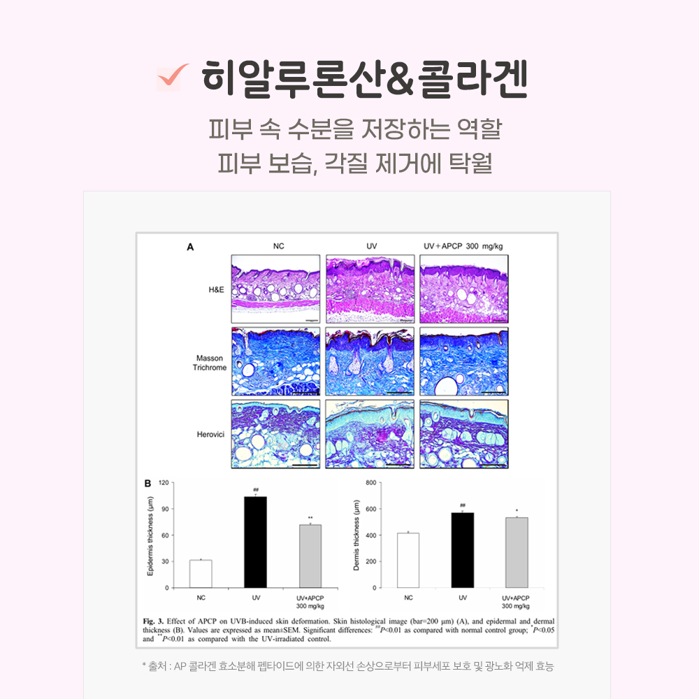 강아지 영양제 추천 면역력과 피부관리 꿀팁 펫또마망 프리미엄 후기와 선택법