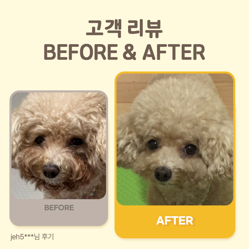 펫또마망 프리미엄 강아지 영양제 면역력 눈+눈물, 80g, 2개 - 상세 이미지 2