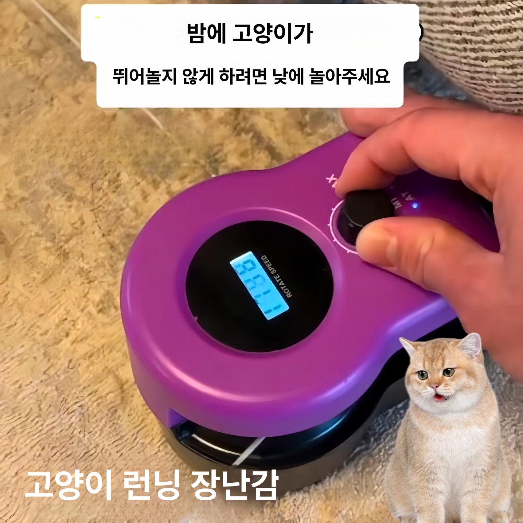 고양이 셀프 놀이 감지 회피 장난감 움직이는 깃털 새끼 로열블루 캣 티저 - 상세 이미지 2