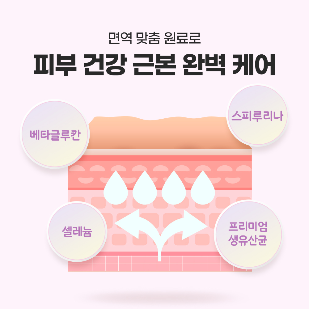 강아지 영양제 추천 면역력과 피부관리 꿀팁 펫또마망 프리미엄 후기와 선택법