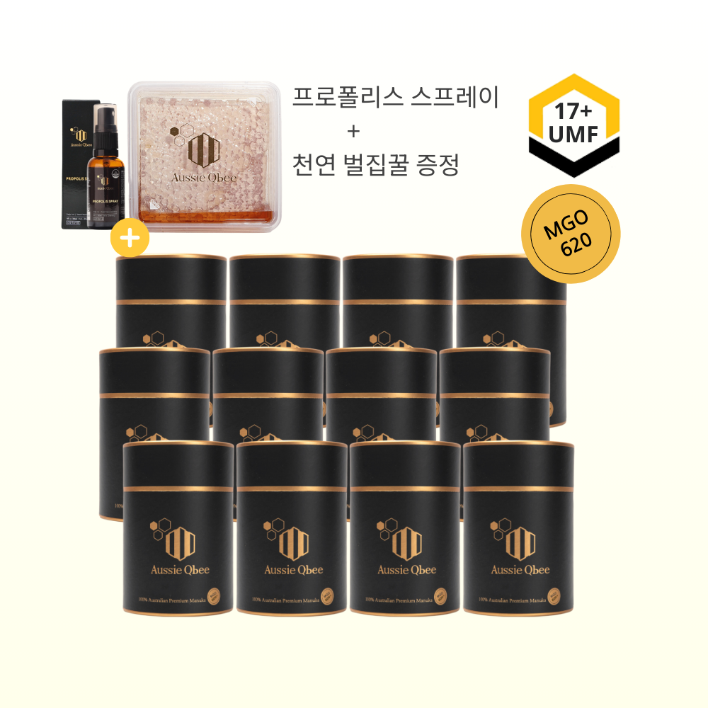 오지퀸비 마누카꿀 스틱 MGO600+30개입 360g, 12개 - 상품 이미지
