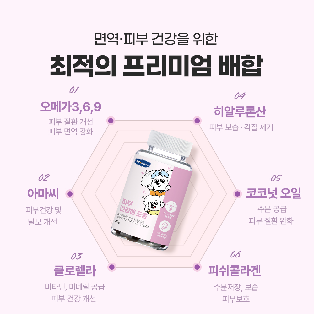 강아지 영양제 추천 면역력과 피부관리 꿀팁 펫또마망 프리미엄 후기와 선택법